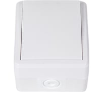 Выключатель с подсветкой ЭРА 11-1402-01 IP54, 10АХ-250В, ОУ, Эксперт, белый Б0020671