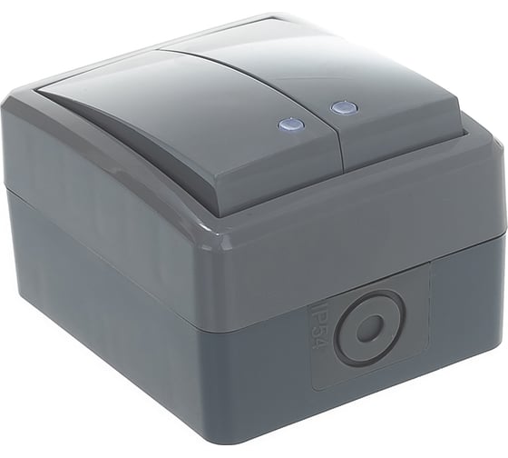 Двойной выключатель с подсветкой ЭРА 11-1405-03 IP54, 10АХ-250В, ОУ, Эксперт, серый Б0020678