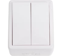 Двойной выключатель с подсветкой ЭРА 11-1405-01 IP54, 10АХ-250В, ОУ, Эксперт, белый Б0020677