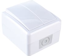 Двойной выключатель ЭРА 11-1404-01 IP54, 10АХ-250В, ОУ, Эксперт, белый Б0020675