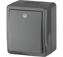 Выключатель с подсветкой ЭРА 11-1402-03 IP54, 10АХ-250В, ОУ, Эксперт, серый Б0020672