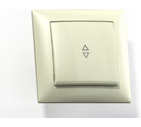 Переключатель Кунцево-Электро СЕЛЕНА скрытой установки одноклавишный 10А С610-396 с/к 8141