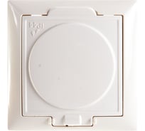 Розетка Кунцево-Электро СЕЛЕНА скрытой установки одноместная IP44 РС16-426 с/к 8155
