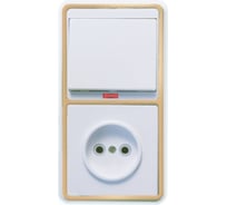 Комбинированный блок Кунцево-Электро БЭЛЛА скрытой установки выключатель с подсветкой+розетка БКВР-214 З 5818