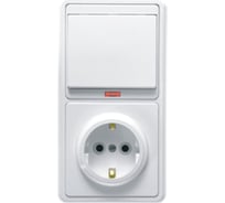 Комбинированный блок Кунцево-Электро БЭЛЛА скрытой установки выключатель c подсветкой+розетка с з/к БКВР-056 5821