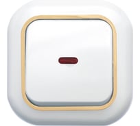 Выключатель Кунцево-Электро ВАЛЕНТИНА скрытой установки одноклавишный с подсветкой С16-068 З 7646