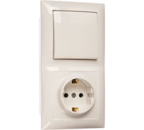 Комбинированный блок Кунцево-Электро СЕЛЕНА скрытой установки выключатель+розетка с з/к БКВР-411 8207