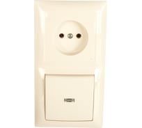 Комбинированный блок Кунцево-Электро СЕЛЕНА скрытой установки выключатель с подсветкой+розетка БКВР-417 8210