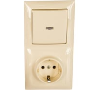 Комбинированный блок Кунцево-Электро СЕЛЕНА скрытой установки выключатель с подсветкой+розетка БКВР-420 8185 16013807