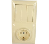 Комбинированный блок Кунцево-Электро СЕЛЕНА скрытой установки выключатель+розетка БКВР-416 с/к 8175