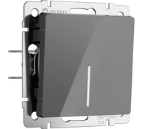 Одноклавишный выключатель WERKEL с подсветкой (графит акрил) w1110144 a064077