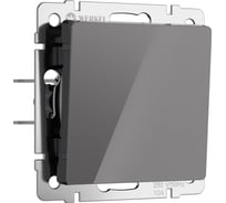 Одноклавишный выключатель WERKEL (графит акрил) w1110044 a064074