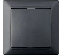 1-клавишный выключатель Bylectrica СУ с самовозвратом серия СТИЛЬ, С110-896 графит