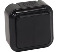 2-клавишный выключатель BYLECTRICA ОУ IP54 серия ПРАЛЕСКА АКВА, А56-224 черный