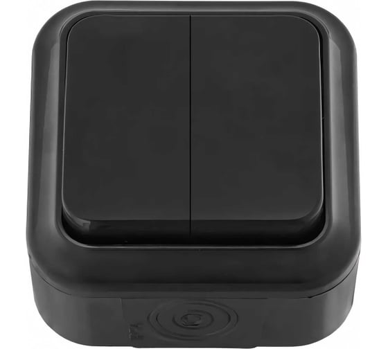 2-клавишный выключатель BYLECTRICA ОУ IP54 серия ПРАЛЕСКА АКВА, А56-224 черный
