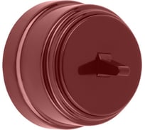 1-клавишный выключатель Bylectrica А16-2213 тумблерный 6А ОУ, серия РЕТРО, коричневый, А16-2213 коричневый