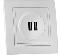2-местная USB розетка Bylectrica открытая установка, серия СТИЛЬ, белый, РП5-430