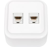 2-х местная компьютерная розетка Bylectrica серия ПРАЛЕСКА, РК216-005 черный