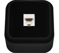 Компьютерная розетка Bylectrica серия ПРАЛЕСКА, черный, РК18-004 черный