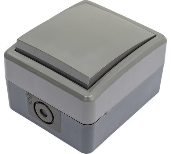 Переключатель ЭРА 11-1403-03 IP54, 10АХ-250В, ОУ, Эксперт, серый Б0020674