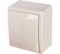 Переключатель ЭРА 11-1203-01 10АХ-250В, IP20, ОУ, Эксперт, белый Б0020660