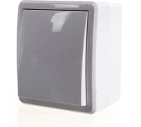 Переключатель ЭРА 11-1403-01 IP54, 10АХ-250В, ОУ, Эксперт, белый Б0020673