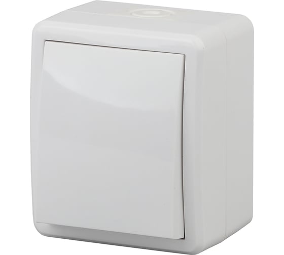 Переключатель ЭРА 11-1403-01 IP54, 10АХ-250В, ОУ, Эксперт, белый Б0020673