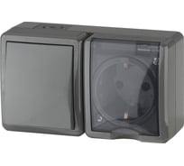 Блок розетка и выключатель ЭРА 11-7401-03 IP54, 16A 10AX -250В, ОУ, Эксперт, серый Б0020734