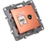 Комбинированная розетка ЭРА 12-3110-14 RJ45 TV, IP20, 12, медь Б0027449 2
