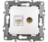 Комбинированная розетка ЭРА 12-3110-15 RJ45 TV, IP20, 12, перламутр Б0027450 3