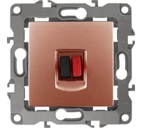 Аудио розетка ЭРА 12-3111-14 IP20, 12, медь Б0027459