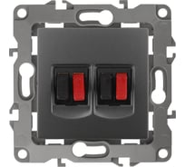 Двойная аудио розетка ЭРА 12-3112-12 IP20, 12, графит Б0027467