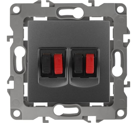 Двойная аудио розетка ЭРА 12-3112-12 IP20, 12, графит Б0027467