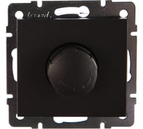 Диммер LEZARD RAIN 500 Вт с фильтром цв. черный графит матовый 703-4188-116