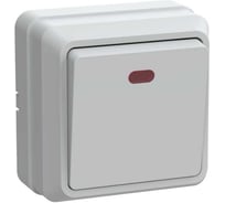 Выключатель GENERICA ОКТАВА 1-кл нар.бел. с инд EVO11-K01-10-DC