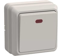 Выключатель GENERICA ОКТАВА 1кл с инд. 10А нар. кремовый EVO11-K33-10-DC