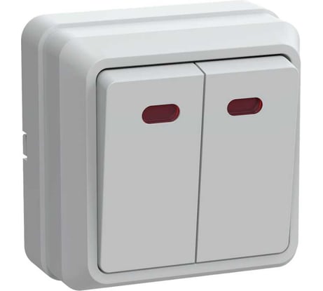 Выключатель GENERICA ОКТАВА 2-кл нар.бел. с инд EVO21-K01-10-DC