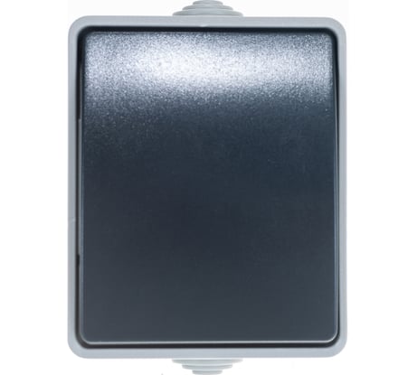 1-клавишный выключатель IEK ОП Форс 10А 250В IP54 BC20-1-0-ФСр ИЭК EVS10-K03-10-54-DC