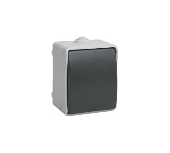 1-кнопочный выключатель IEK ФОРС наружный монтаж IP54 EVS13-K03-10-54-DC