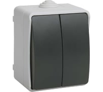 2-клавишный выключатель IEK ОП Форс 10А IP54 ВС20-2-0-ФСр ИЭК EVS20-K03-10-54-DC
