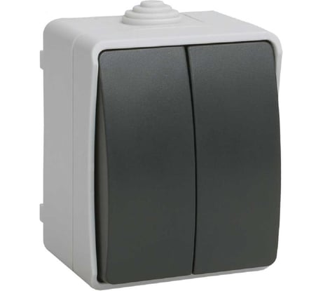 2-клавишный выключатель IEK ОП Форс 10А IP54 ВС20-2-0-ФСр ИЭК EVS20-K03-10-54-DC