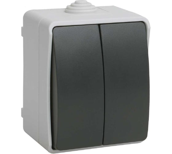 2-клавишный выключатель IEK ОП Форс 10А IP54 ВС20-2-0-ФСр ИЭК EVS20-K03-10-54-DC