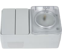 Блок Systeme Electric Atlasdesign profi ip54 о/у роз. з/к со шт. 16а, выкл.2-клав.10а, серый ATN543074