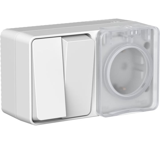 Блок: Розетка с заземлением со шторками Systeme Electric, 16 АХ, 250 В, Выключатель 2-клавишный, 10 АХ, AtlasDesign Profi IP54, открытой установки, Серый ATN543074