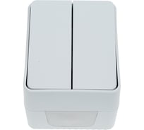2-клавишный выключатель Systeme Electric Atlasdesign profi ip54 о/у 10 ах, серый ATN543051