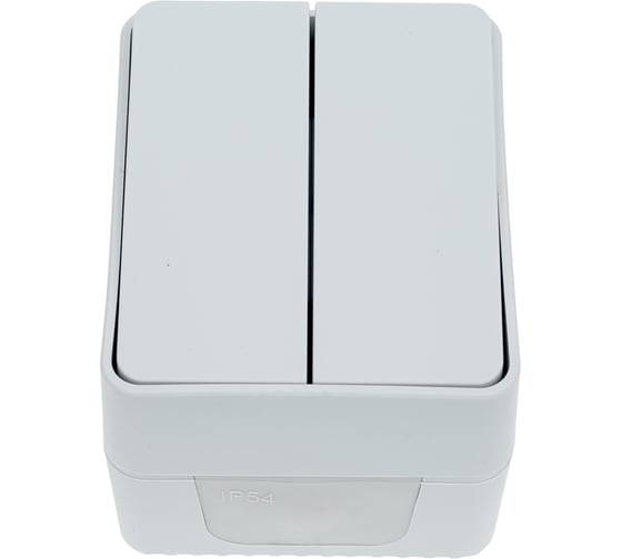 2-клавишный выключатель Systeme Electric Atlasdesign profi ip54 о/у 10 ах, серый ATN543051