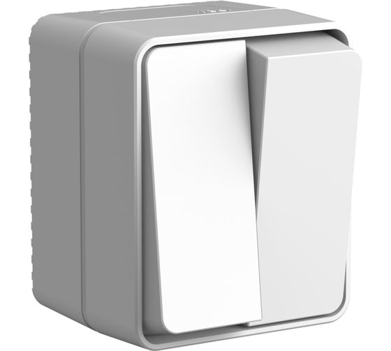 2-клавишный выключатель Systeme Electric Atlasdesign profi ip54 о/у 10 ах, серый ATN543051