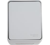 1-клавишный выключатель с самовозвратом Systeme Electric Atlasdesign profi ip54 о/у 10 ах, серый ATN543015