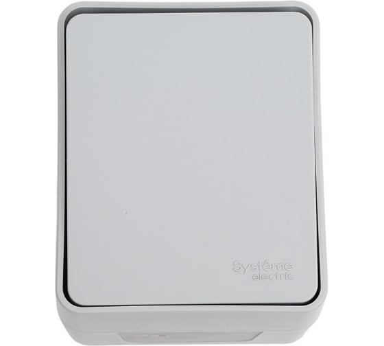 1-клавишный выключатель с самовозвратом Systeme Electric Atlasdesign profi ip54 о/у 10 ах, серый ATN543015 1