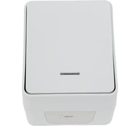 1-клавишный выключатель Systeme Electric Atlasdesign profi ip54 о/у с подсветкой 10 ах, серый ATN543013